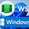 WSA Windows 1.0