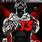 WWE '13 PS3 Cover