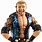 WWE Toys Elite Collection