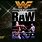 WWF Raw Video Game