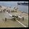 WWII Aircraft Carrier Planes