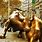 Wall Street Bull vs Bear