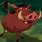 Warthog From Lion King
