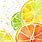 Watercolor Fruit Art