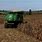 Wet Corn Harvest