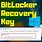 What Is BitLocker Recovery Key