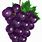 Wheat and Grapes Clip Art