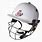 White Cricket Helmet