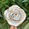 White Gold Dipped Roses