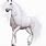White Horse Head PNG