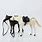 White and Black Horse Toys