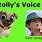 Who Voices Kia in Puppy Dog Pals