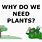 Why Do We Need Plants