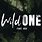 Wild One Font