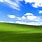 Windows XP Background Wallpaper