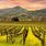 Wine Tours Napa Sonoma