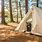 Winter Camping Canvas Tent