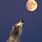 Wolf Howling to the Moon