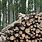Wood Biomass