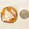 World's Smallest Pizza