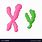 Y Chromosome Cartoon