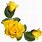 Yellow Rose Flower Art