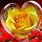 Yellow Rose Heart