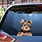 Yorkie Decals for Cars