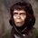 Zira Planet of the Apes