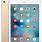 iPad Mini Gold