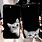iPhone 7 Cases Cat