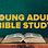 Young Adult Bible Study