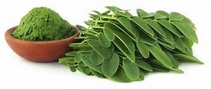 Resultado de imagen de moringa