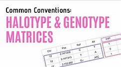 Haplotype and Genotype Matrices | Common Conventions