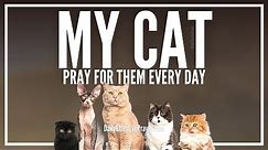 Prayer For Cats | Prayers For Cat Healing, Health, and Blessing