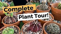 Complete Collection Plant Tour part 2|Cactus, Succulents, Desert Plants