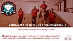 Volunteer Structure and Training Schedule