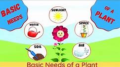 Basic Needs of a Plant | Needs of a Plant | Plant Needs for kids | What do Plants Need to Survive?