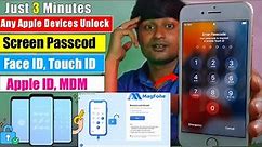 How to Unlock iPhone without Passcode or Face ID | MagFone iPhone Unlocker