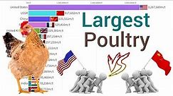 World's Largest Poultry Production Country 1961 - 2023