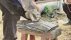 Rescue Donkey with Overgrown Hooves🐎Satisfying Donkey Hoof TRIMMING-RELAX