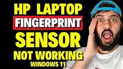 HP Fingerprint Sensor Not Working Windows 11