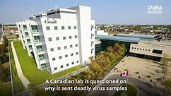 Canadian agency sent viruses to Wuhan lab probe