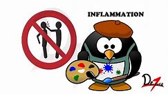 Inflammation Vs Infection!