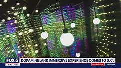 Dopamine Land brings immersive experience to DC