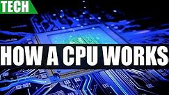 How A CPU Works | A Basic Guide On Processor Stages & Functionality