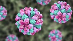 What's happening in the Philadelphia region with the rise of norovirus in the northeast