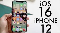 iOS 16 OFFICIAL On iPhone 12! (Review)