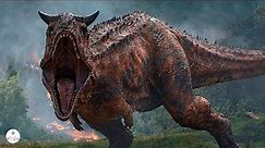 Carnotaurus – The Fastest Carnivorous Dinosaur