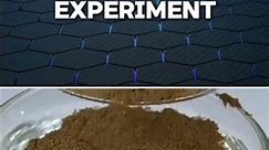 Science experiments || home experiment #shorts #youtubeshorts #experiment